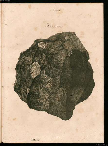 Plik:Schreibers 1820 (Tab-iv).jpg