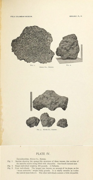 Plik:Farrington 1895 (plate4).jpg