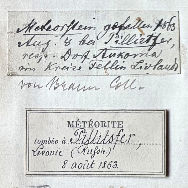 Plik:Pillistfer (Gregory-p006)-label1.jpg