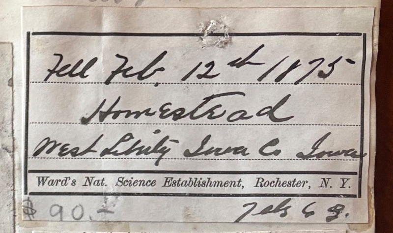 Plik:Ward (Homestead) Gregory-119-label1.jpg