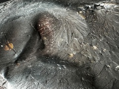 Zadzim (mainmass)-SzKcu 8690.jpg