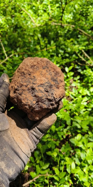 Plik:Steinbach (Magneto1-760g)-AO1.jpg