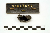 Selcany (Šreinová 2012).jpg