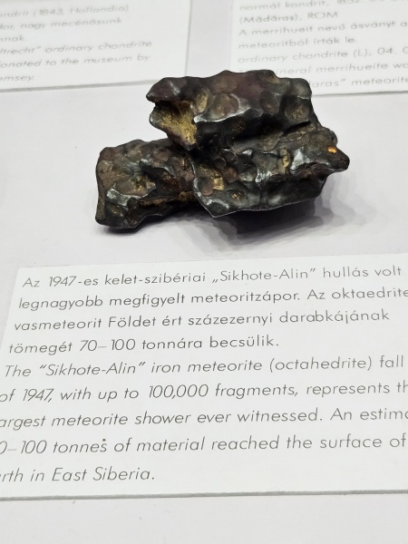 Plik:Sikhote-Alin (NHM Budapest)-2024.jpg