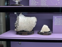 Elbogen (NHM Prague)-SzK-1.jpg