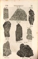 Meteoreisens (Haidinger 1845).jpg