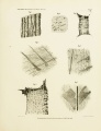 Tschermak 1871 (Ilimaes (iron)-Taf. IV).jpg