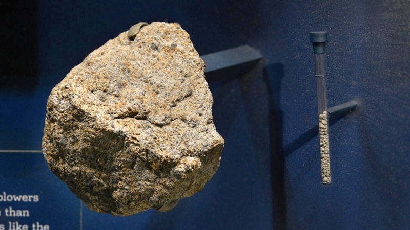 Plik:Bjurböle (AMNH New York).jpg