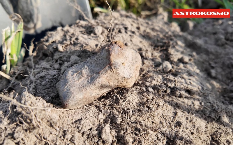 Plik:Pułtusk (2026-06-Janusz Kosmowski-126g)-fb1.jpg