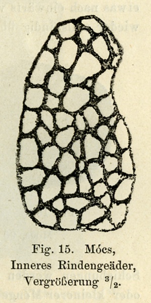 Plik:Brezina (1894 fig15).jpg