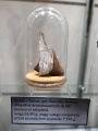 Miniatura wersji z 21:10, 13 maj 2025