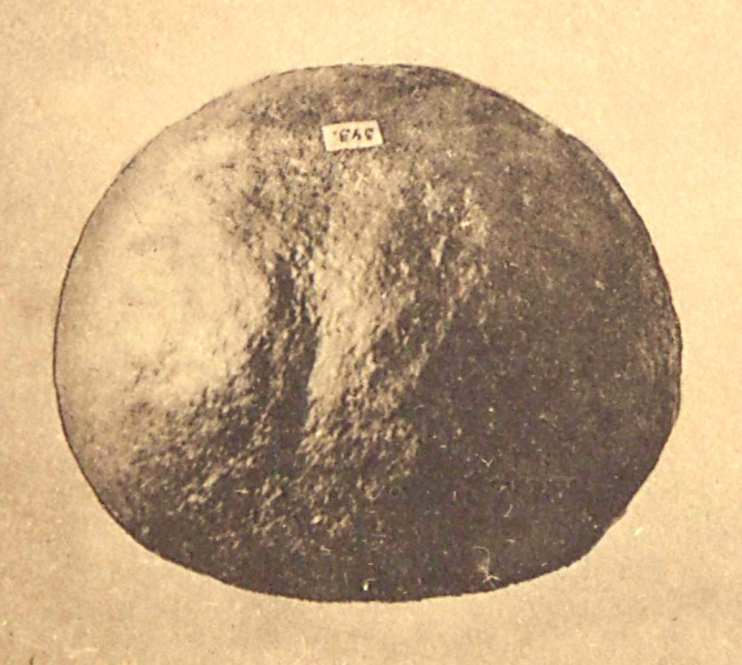 Plik:Bobulińce (Album 1911)-detal.jpg