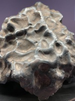 Braunau (NHM Prague)-TJ-1.jpg