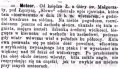 Sycewo (Kaliszanin 76 1887).jpg