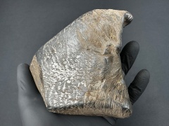 SN20260417 (mainmass)-SzK 7427.jpg