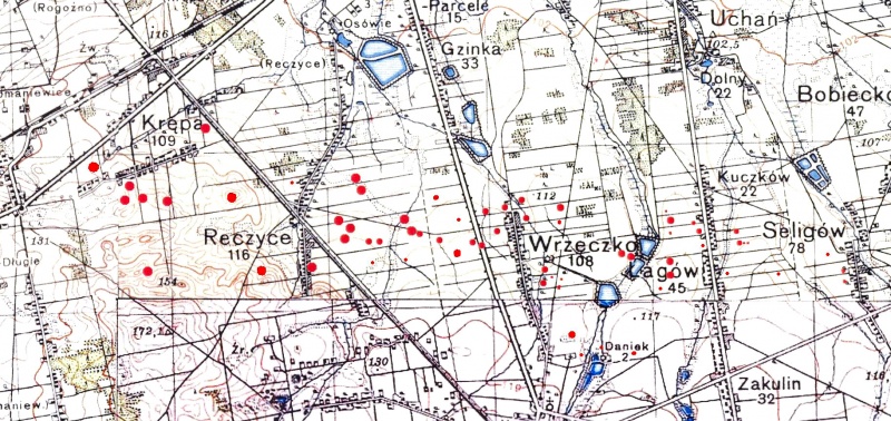 Plik:Lowicz (strewnfield map).jpg