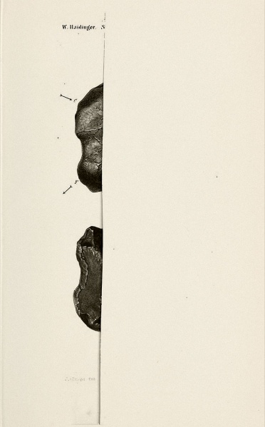 Plik:Stannern (Haidinger 1862).jpg