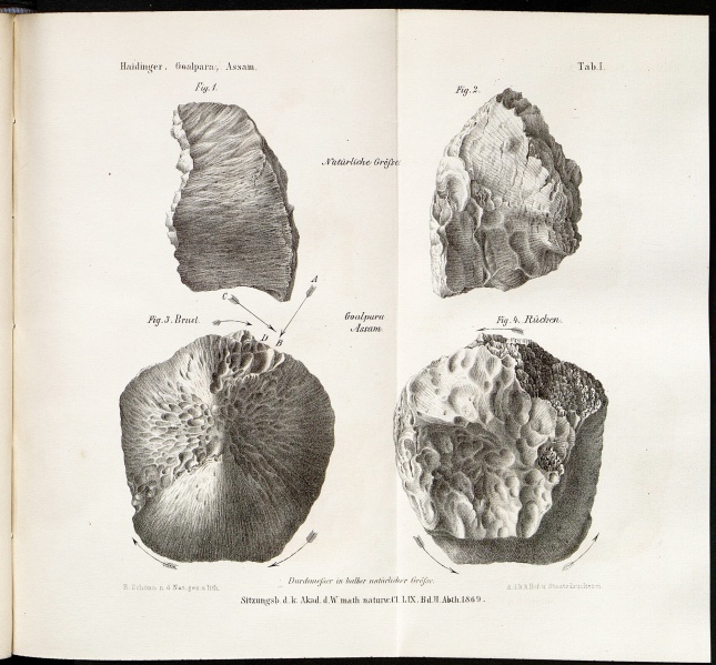 Plik:Goalpara (Haidinger 1869).jpg