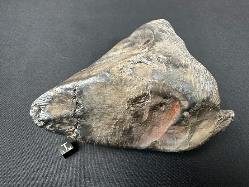 Plik:SN20260417 (mainmass)-SzK 7476.jpg