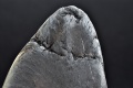 Miniatura wersji z 21:38, 28 maj 2026