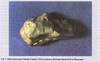 Pultusk (Urania 1994 fot01).jpg
