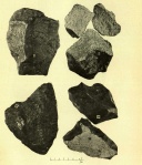 Zemaitkiemis specimens-8-10 13-14 (Kaveckis 1935).jpg