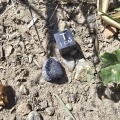 Miniatura wersji z 21:06, 26 sie 2025