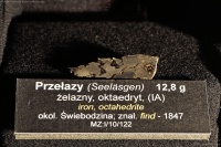 Seeläsgen (Przełazy) (PAN Muzeum Ziemi) I-10-122.jpg