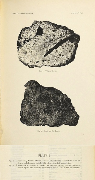 Plik:Farrington 1895 (plate1).jpg