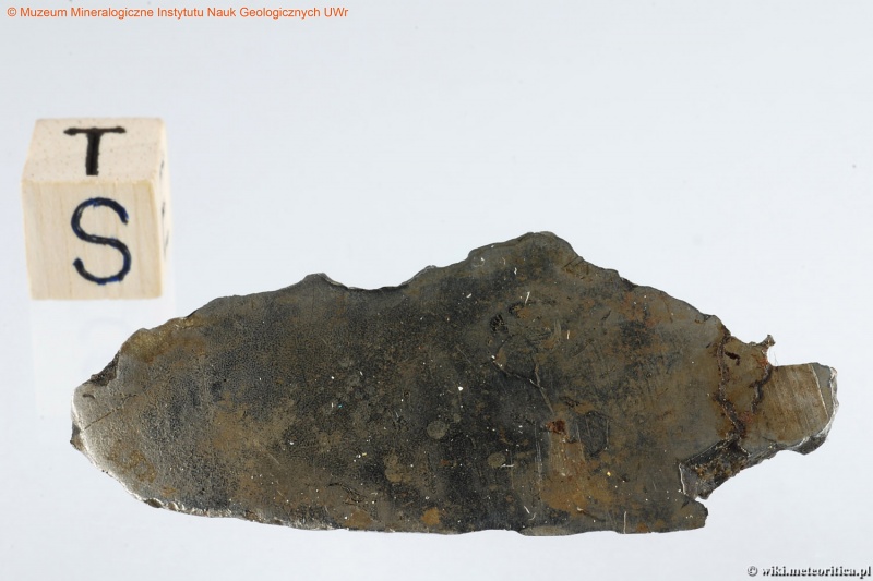 Plik:Sulechów (Muzeum Mineralogiczne UWr) 1.jpg