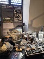 Miniatura wersji z 19:03, 21 cze 2026