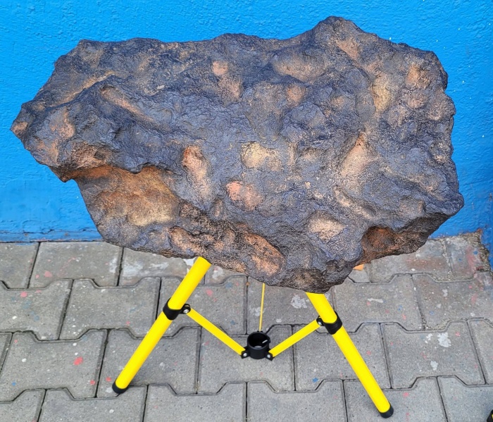 Plik:Morasko (164kg cast)-fb.jpg
