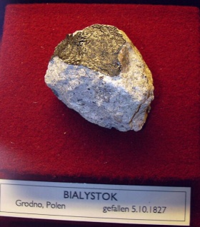 Bialystok (NHM Vienna).jpg