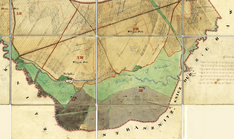 Plik:Wessely (MOR313818270 1827).jpg