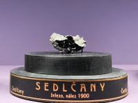 Selcany (NHM Prague).jpg