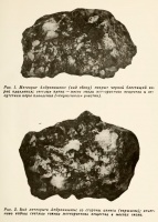 Padvarninkai (Vasiliev 1970).jpg