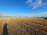 SN20250724 (Redakcja)-1.jpg
