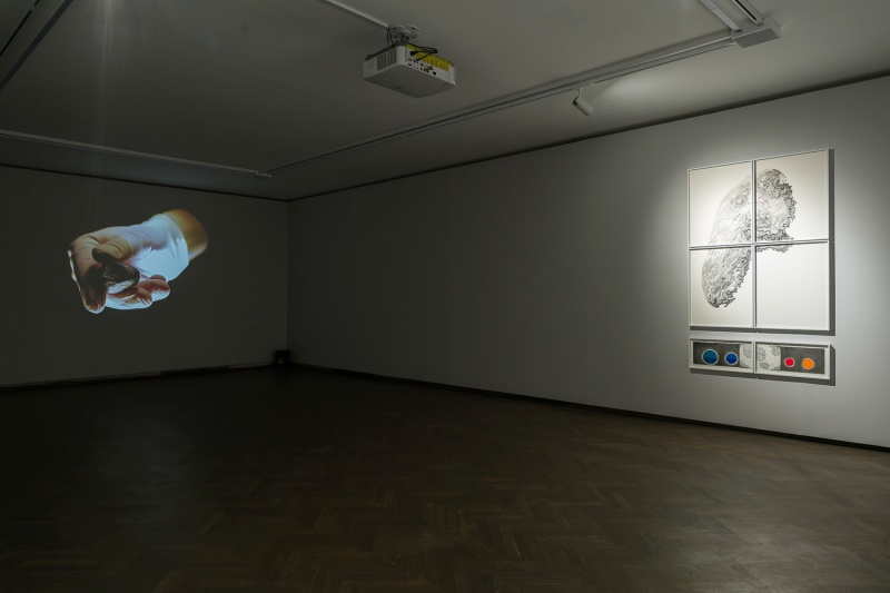Plik:Amélie Bouvier (Galeria Arsenał)-Maciej Zaniewski-4.jpg