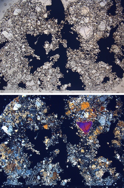 Plik:Lowicz (NMNH-1409-2 1pt25).jpg